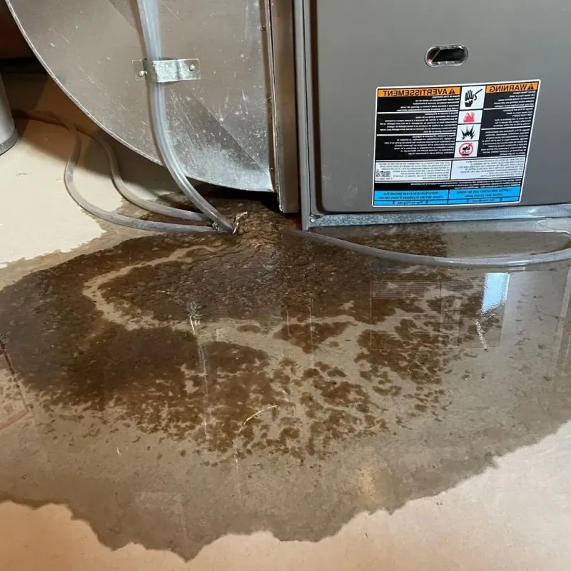 Pipe Burst and Leak Restoration in Glen Allen, VA
